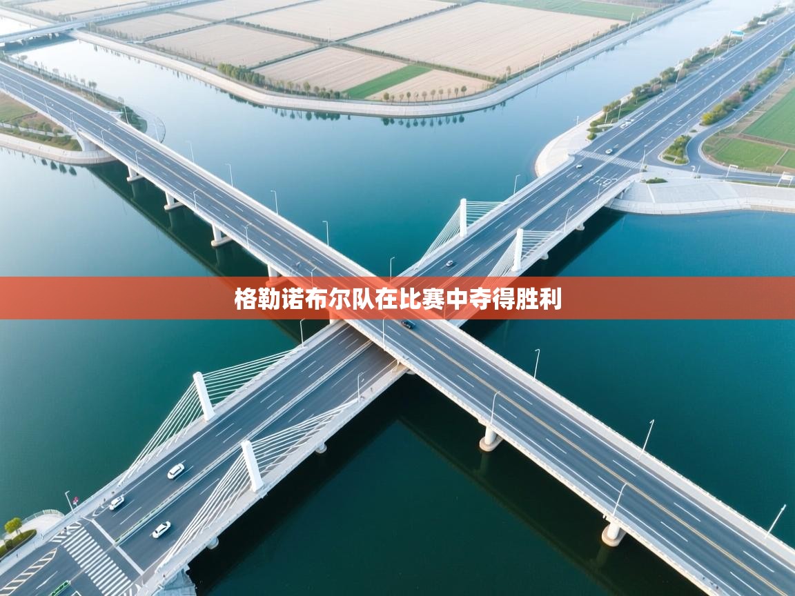 格勒诺布尔队在比赛中夺得胜利 第1张