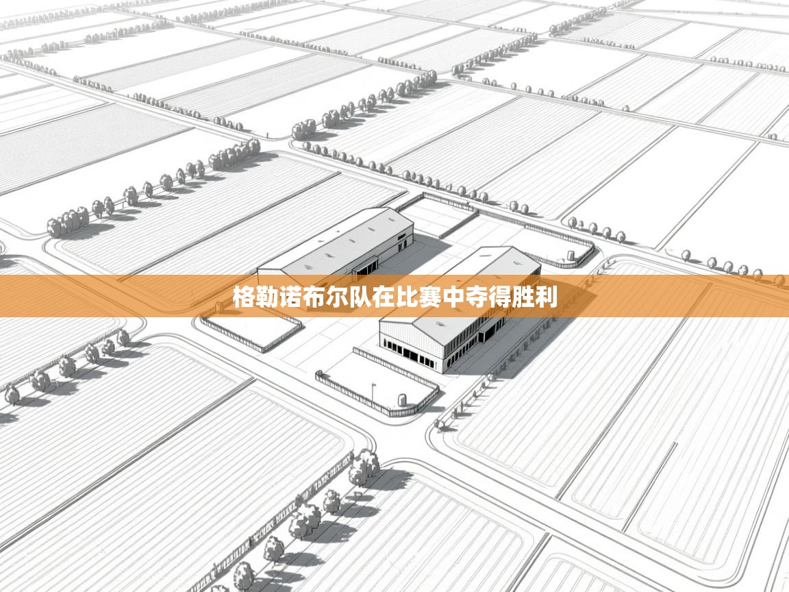 格勒诺布尔队在比赛中夺得胜利 第2张