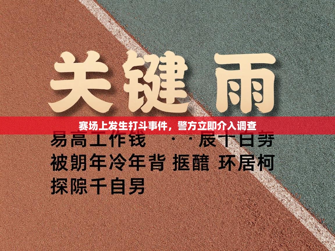 赛场上发生打斗事件，警方立即介入调查  第1张
