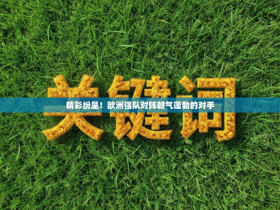 精彩纷呈！欧洲强队对阵朝气蓬勃的对手  第2张